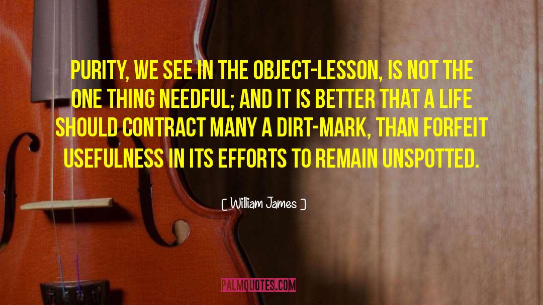 Object Lesson quotes by William James