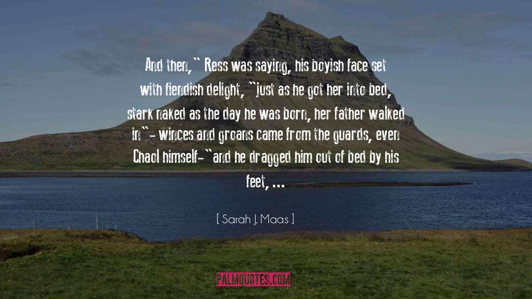 Object Of Desire quotes by Sarah J. Maas