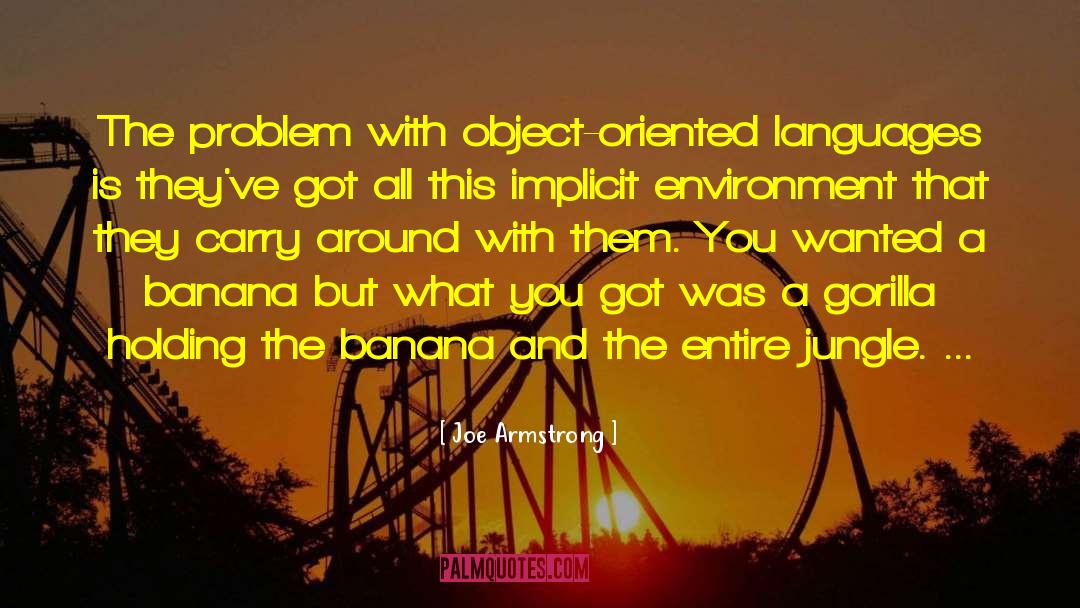 Object Oriented quotes by Joe Armstrong