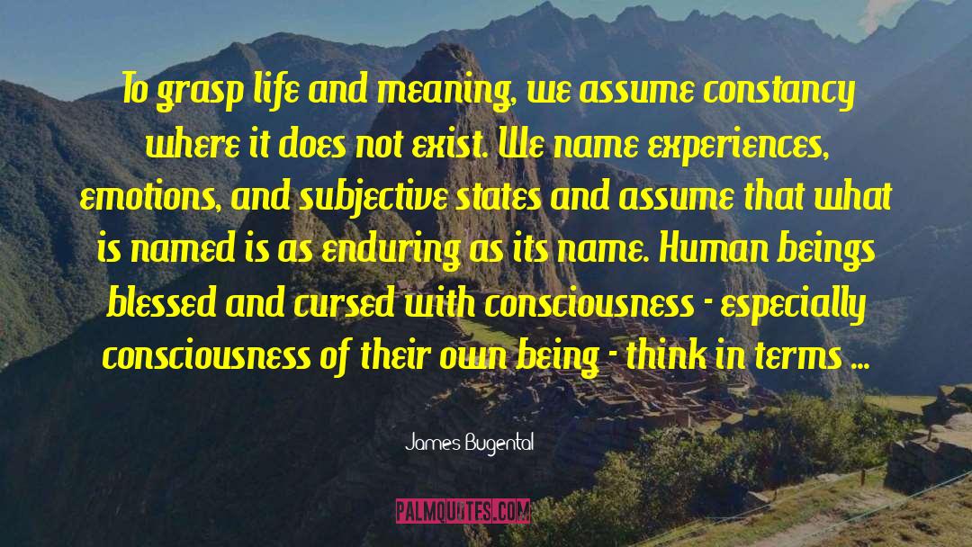 Objective And Subjective quotes by James Bugental