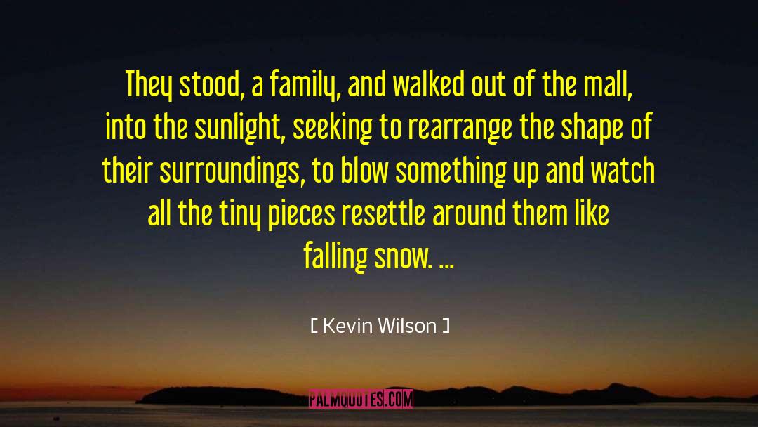 Obligation To Family quotes by Kevin Wilson