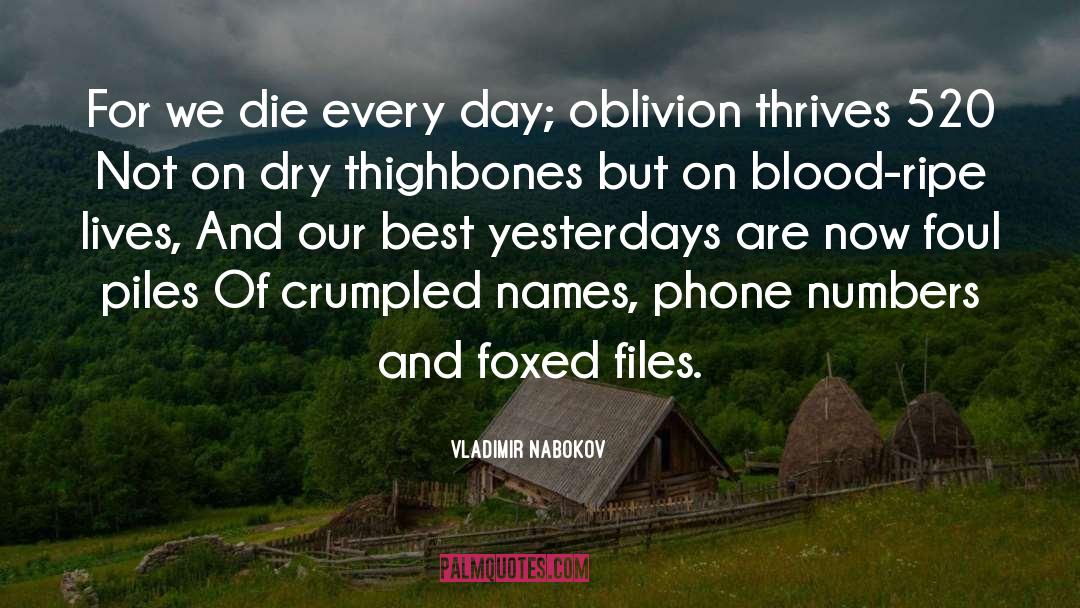 Oblivion quotes by Vladimir Nabokov