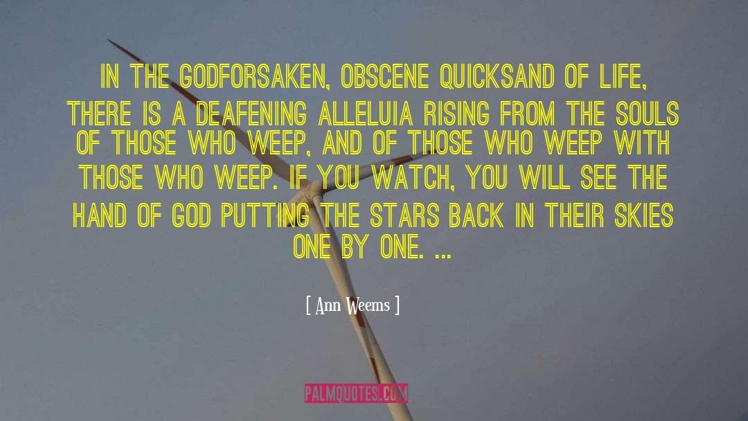 Obscene quotes by Ann Weems