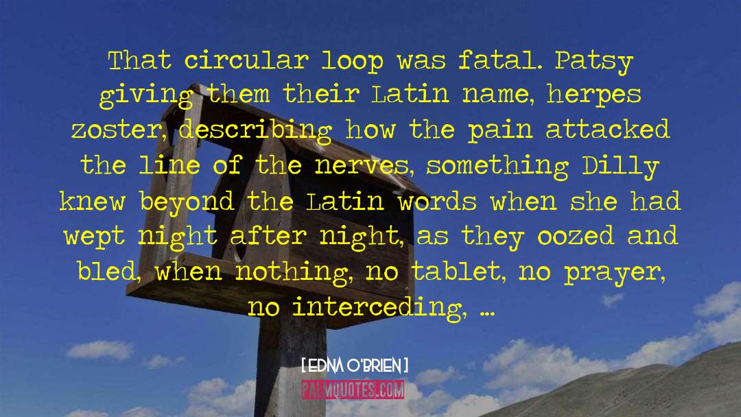 Obscure Latin quotes by Edna O'Brien