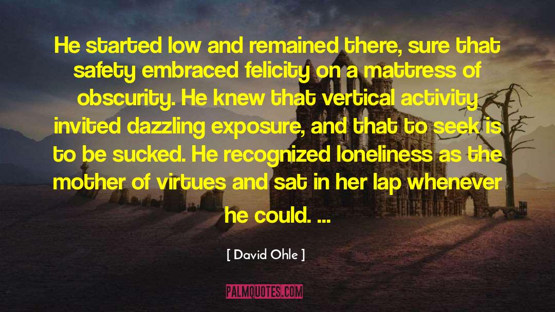 Obscurity quotes by David Ohle