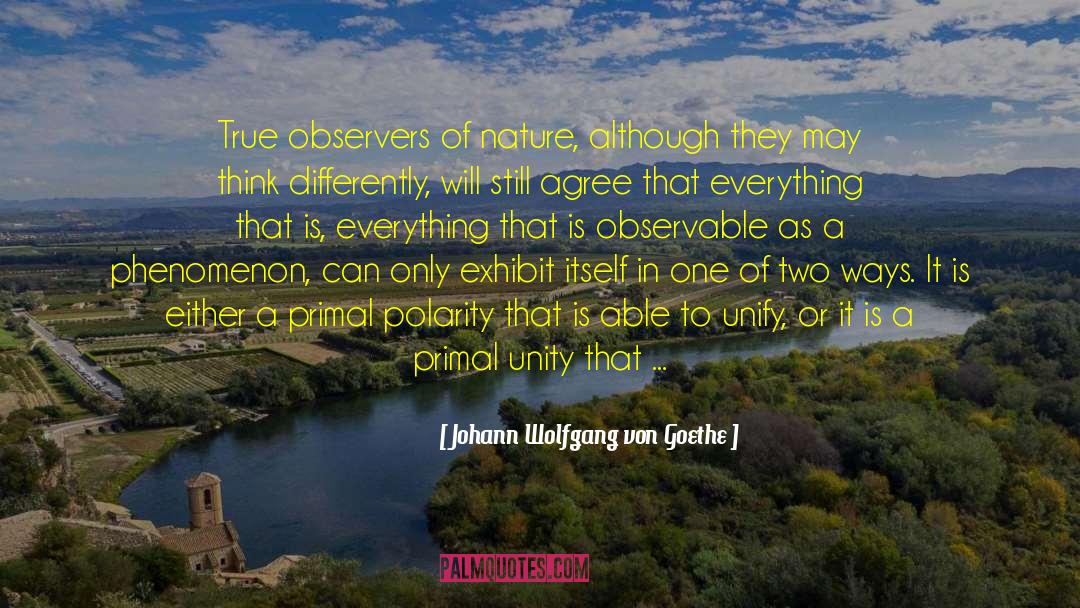 Observable quotes by Johann Wolfgang Von Goethe
