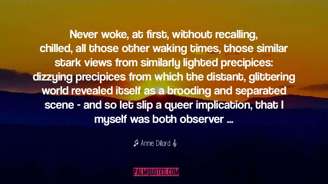 Observable quotes by Annie Dillard