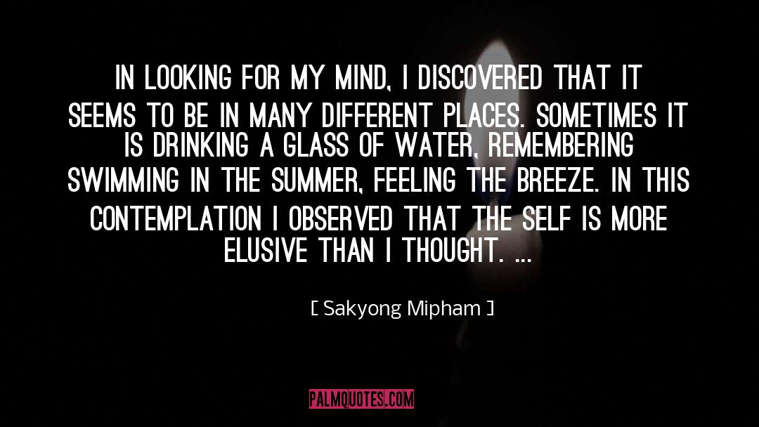 Observed quotes by Sakyong Mipham