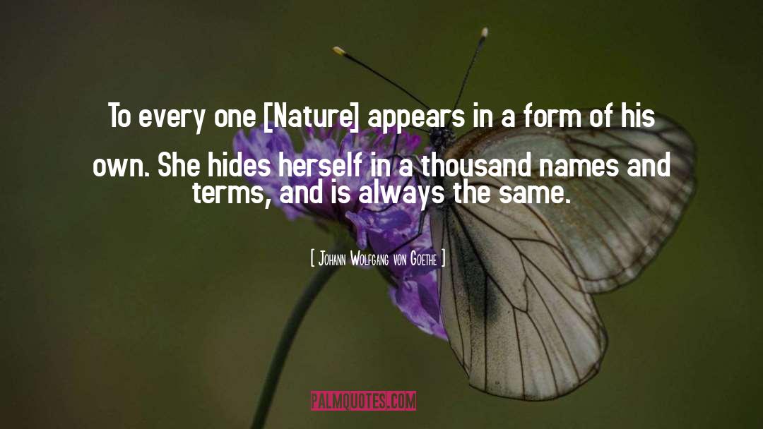 Observer Of Nature quotes by Johann Wolfgang Von Goethe