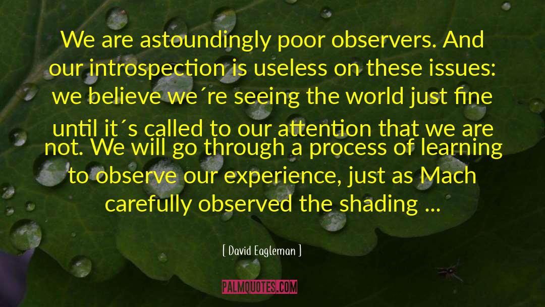 Observers quotes by David Eagleman