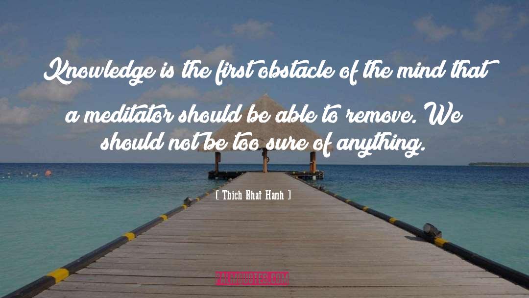 Obstacle quotes by Thich Nhat Hanh