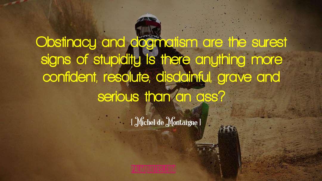 Obstinacy quotes by Michel De Montaigne