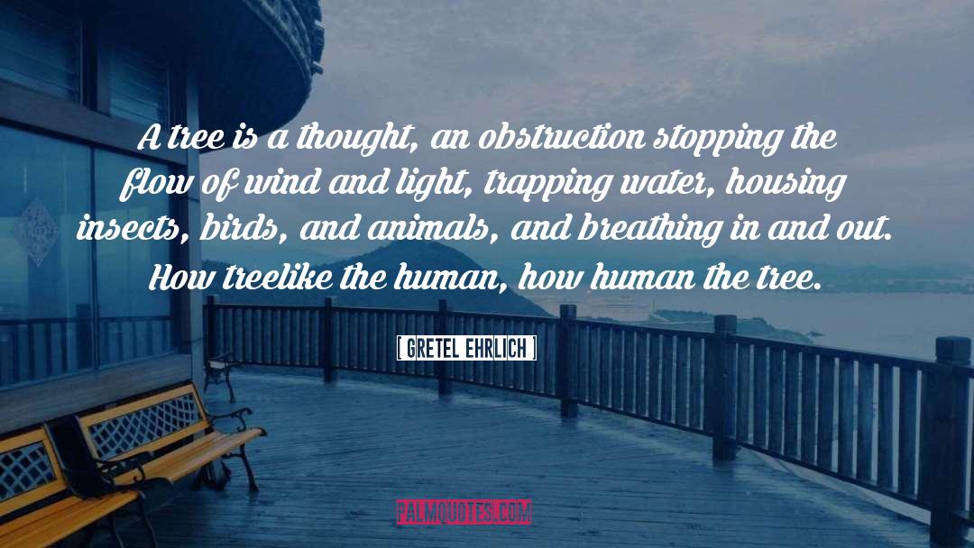 Obstruction quotes by Gretel Ehrlich