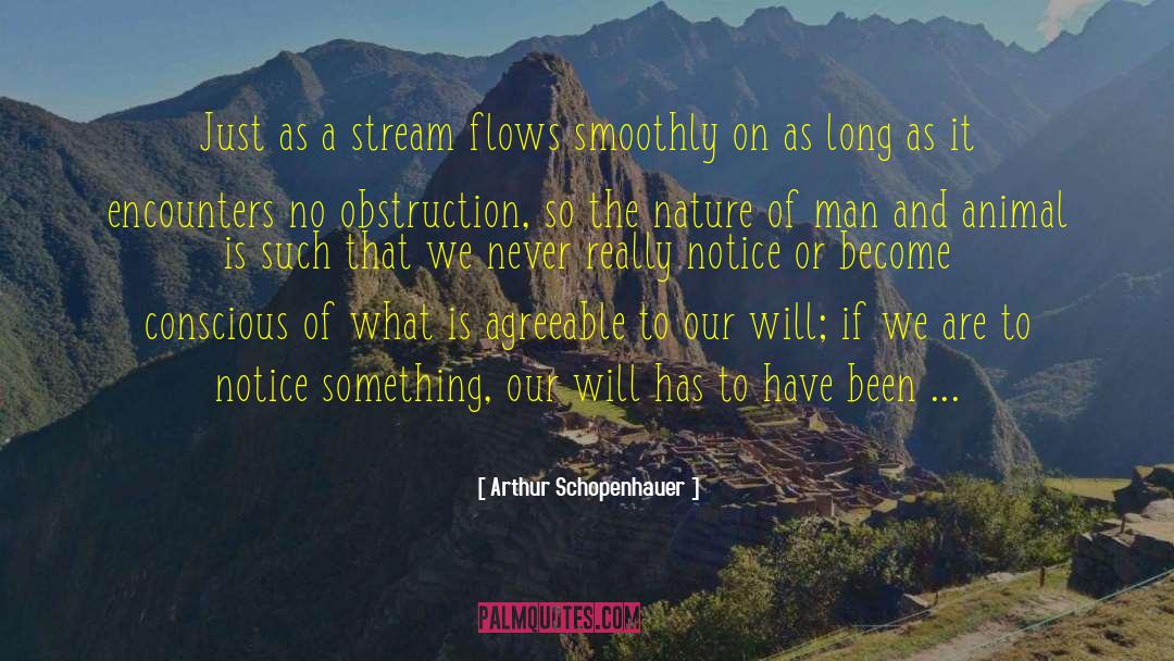 Obstruction quotes by Arthur Schopenhauer
