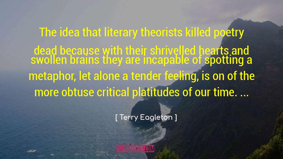 Obtuse quotes by Terry Eagleton