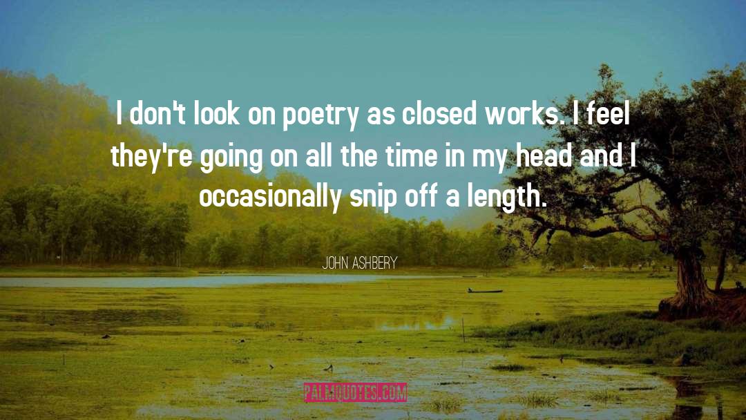 Occasionally quotes by John Ashbery