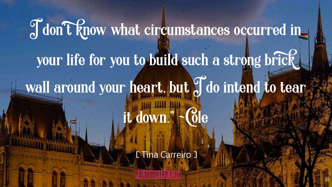 Occurred An quotes by Tina Carreiro