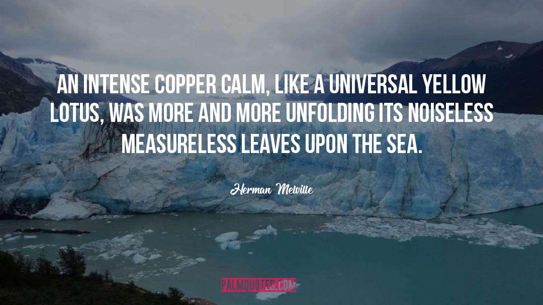 Ocean And Sea quotes by Herman Melville