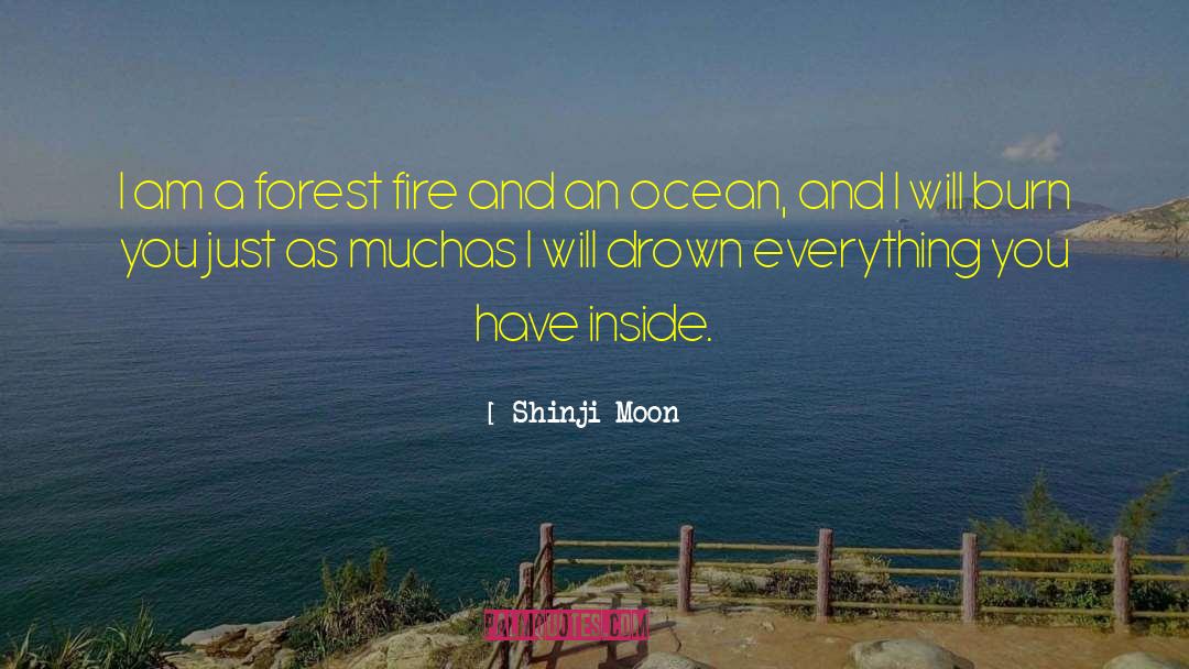 Ocean Cargo quotes by Shinji Moon