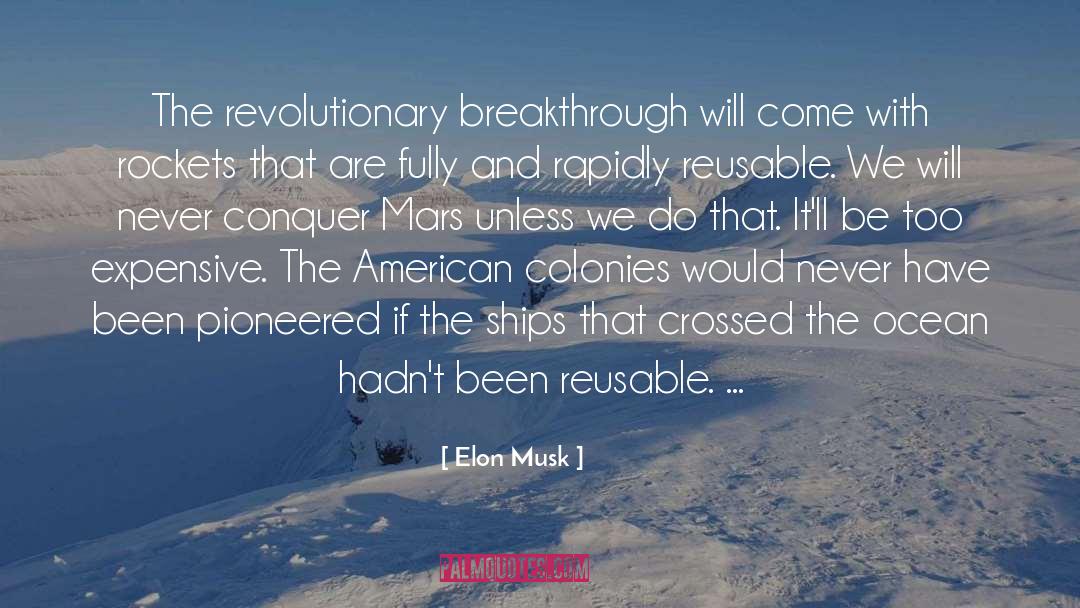 Ocean Cliffs quotes by Elon Musk