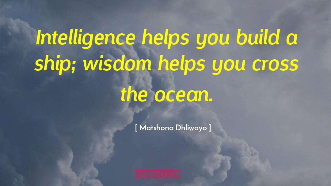 Ocean Cliffs quotes by Matshona Dhliwayo