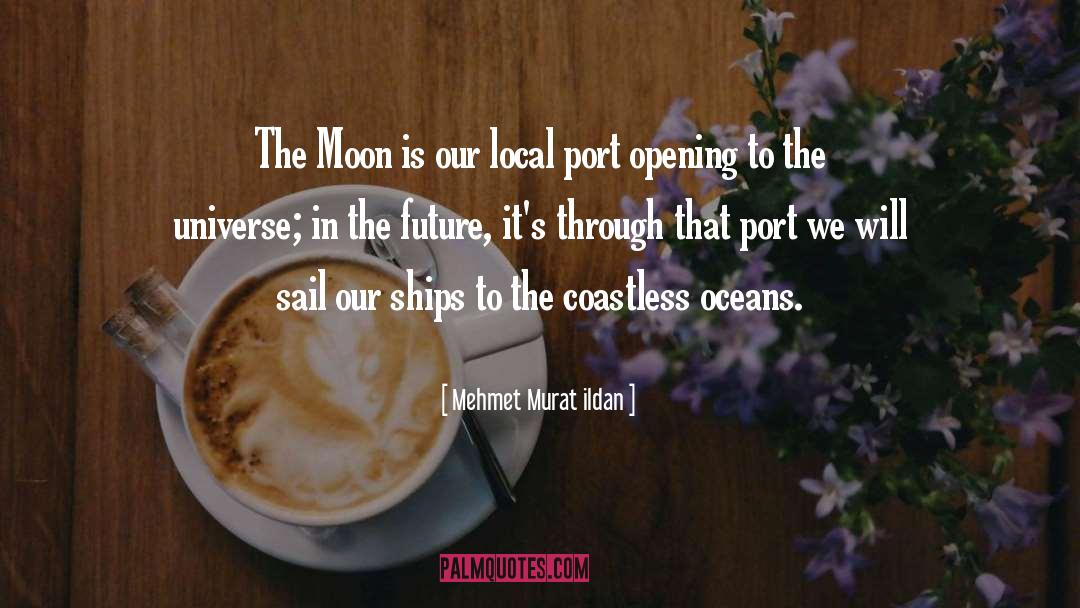Ocean Cliffs quotes by Mehmet Murat Ildan