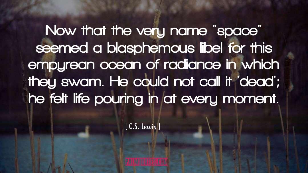 Ocean Cliffs quotes by C.S. Lewis