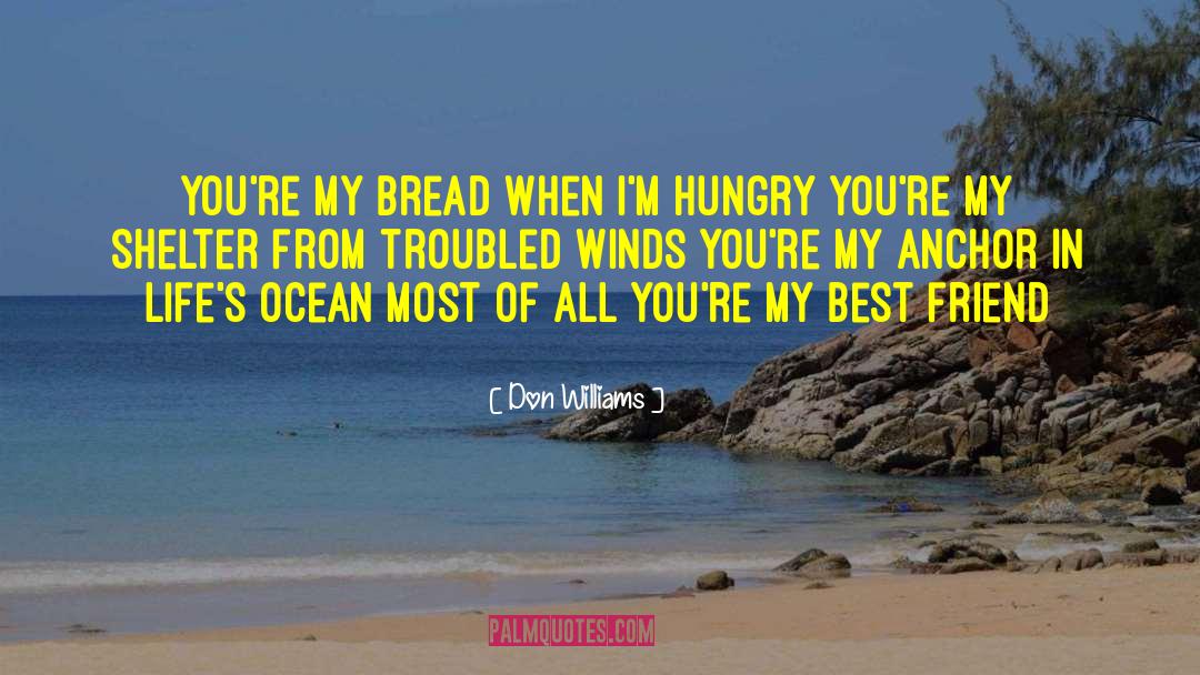Ocean Song Lyric quotes by Don Williams