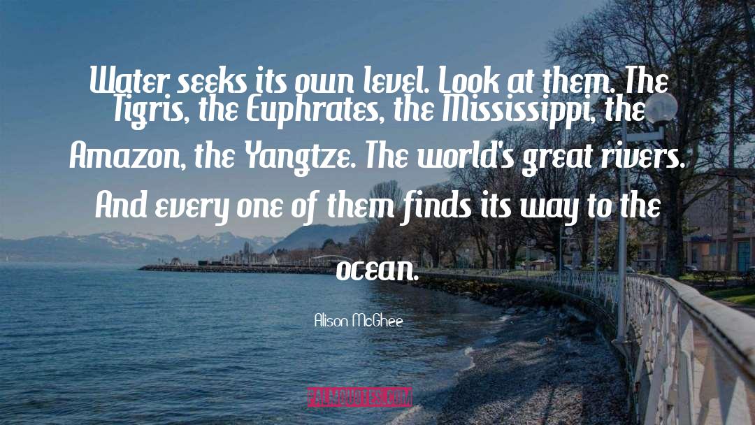 Ocean Water quotes by Alison McGhee