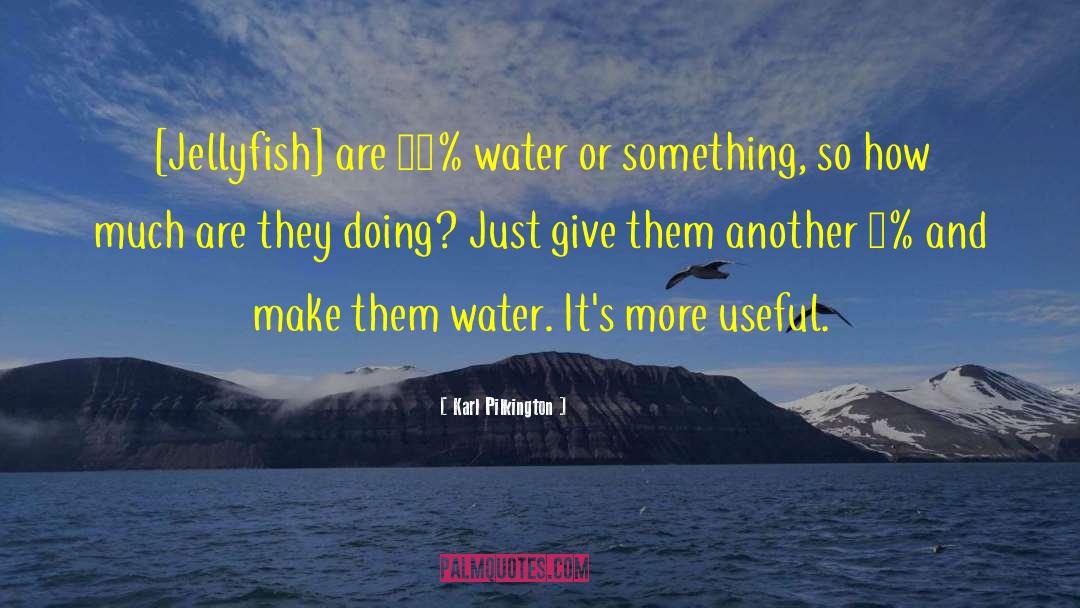 Ocean Water quotes by Karl Pilkington