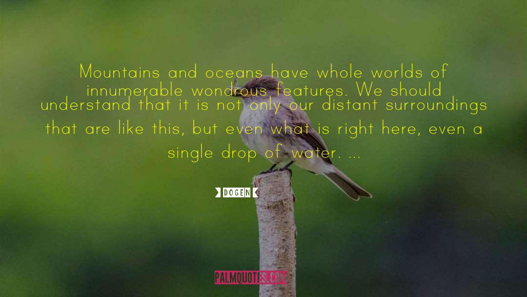 Ocean Water quotes by Dogen