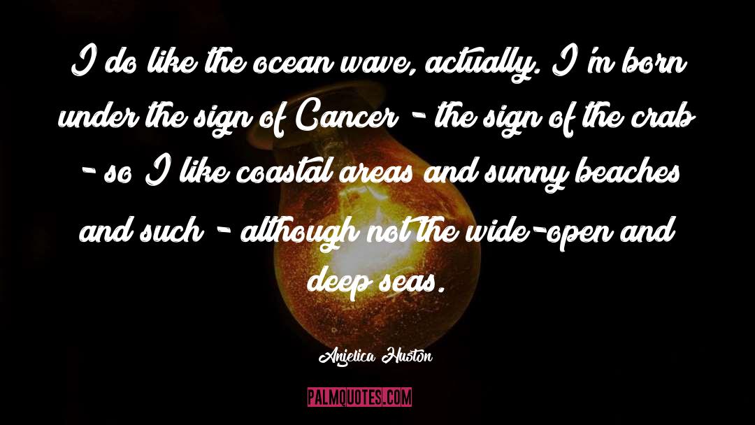 Ocean Wave quotes by Anjelica Huston