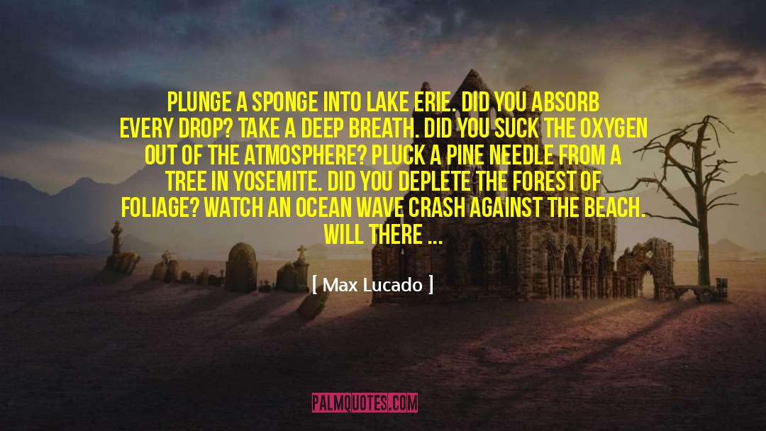 Ocean Wave quotes by Max Lucado