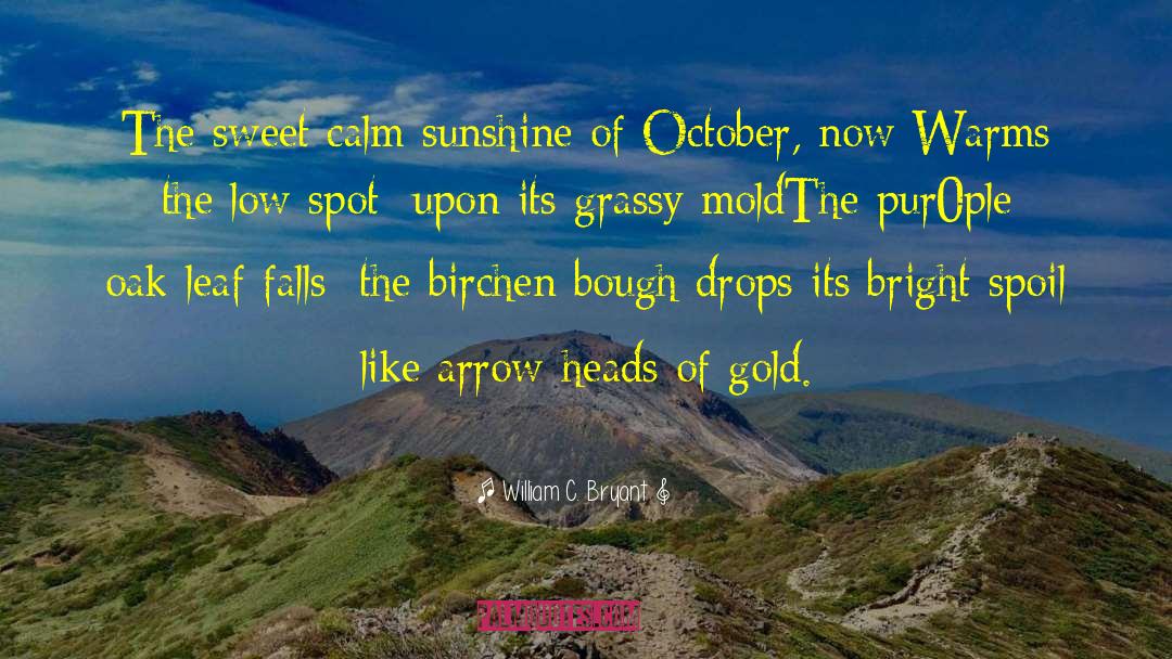 October And Fall quotes by William C. Bryant