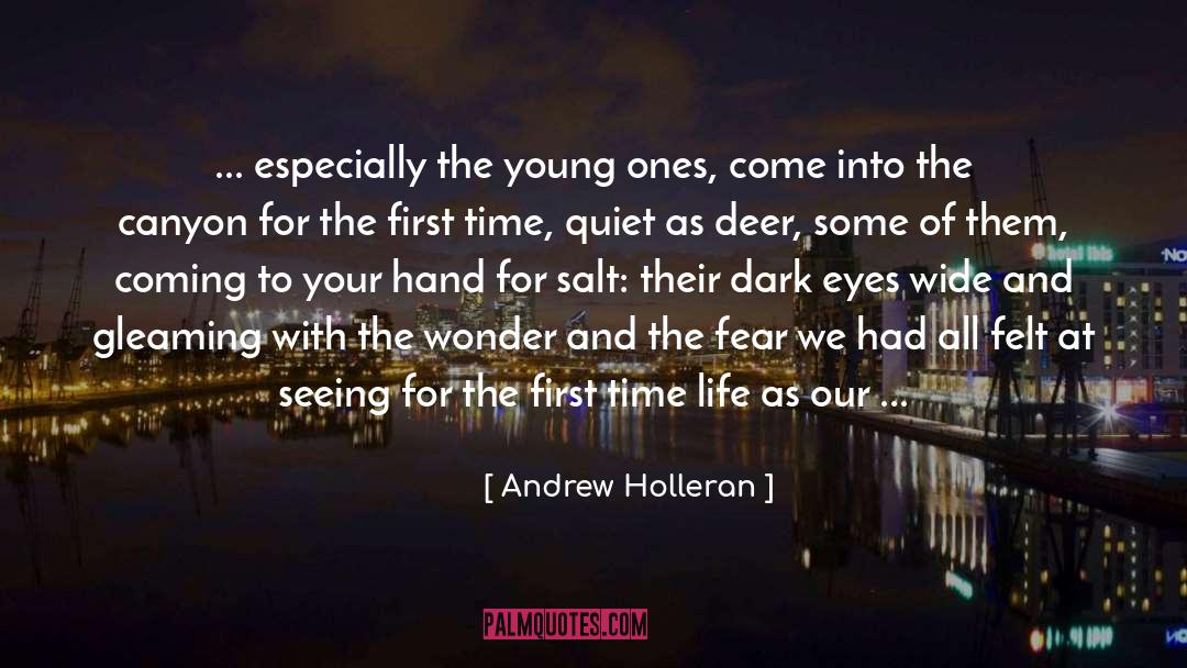 October And Fall quotes by Andrew Holleran