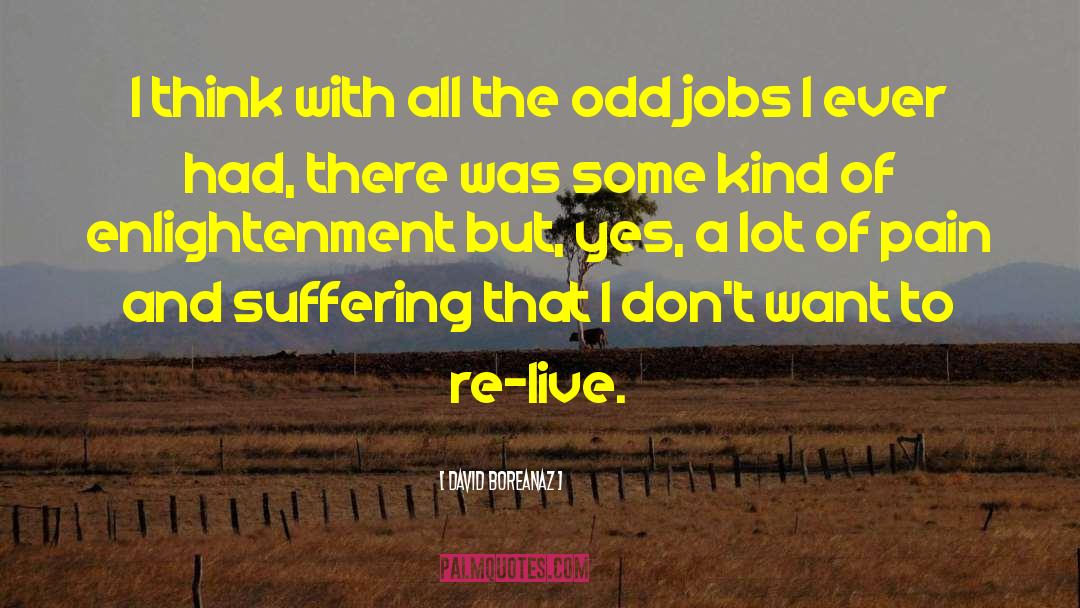 Odd Jobs quotes by David Boreanaz