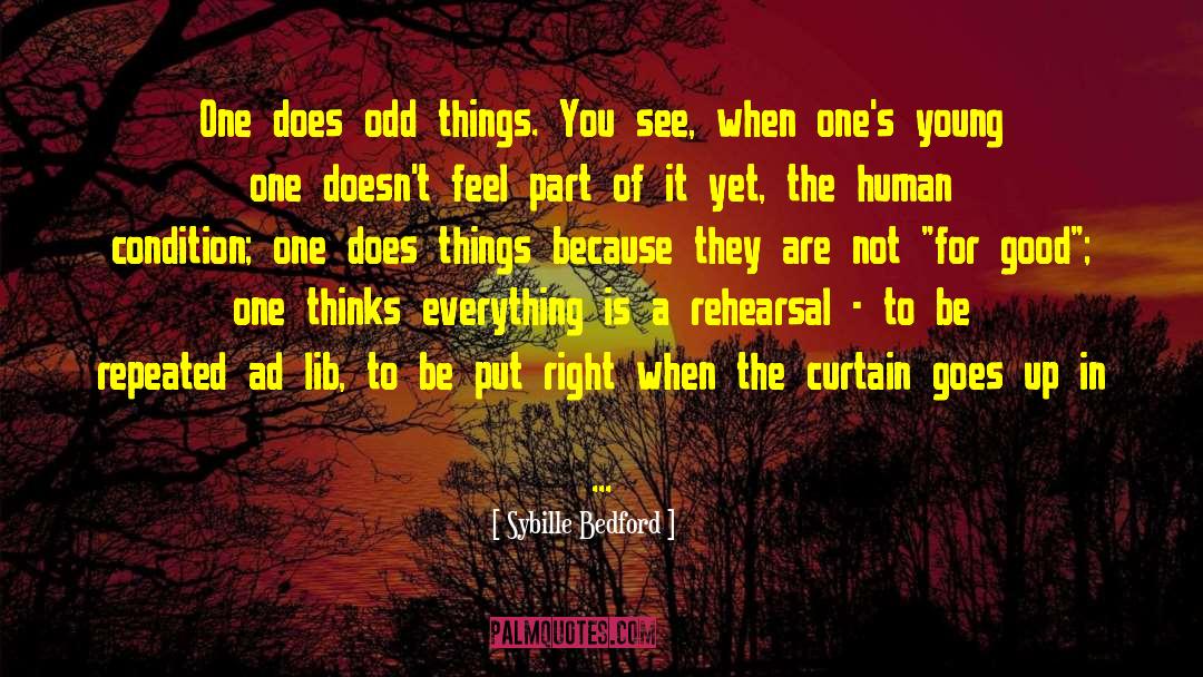 Odd Things quotes by Sybille Bedford