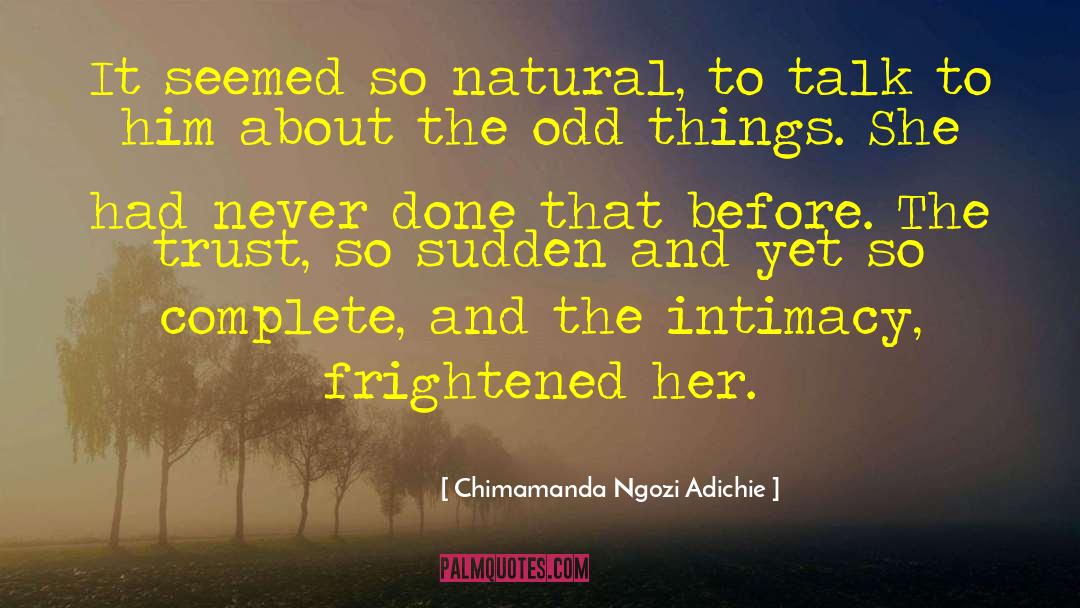 Odd Things quotes by Chimamanda Ngozi Adichie