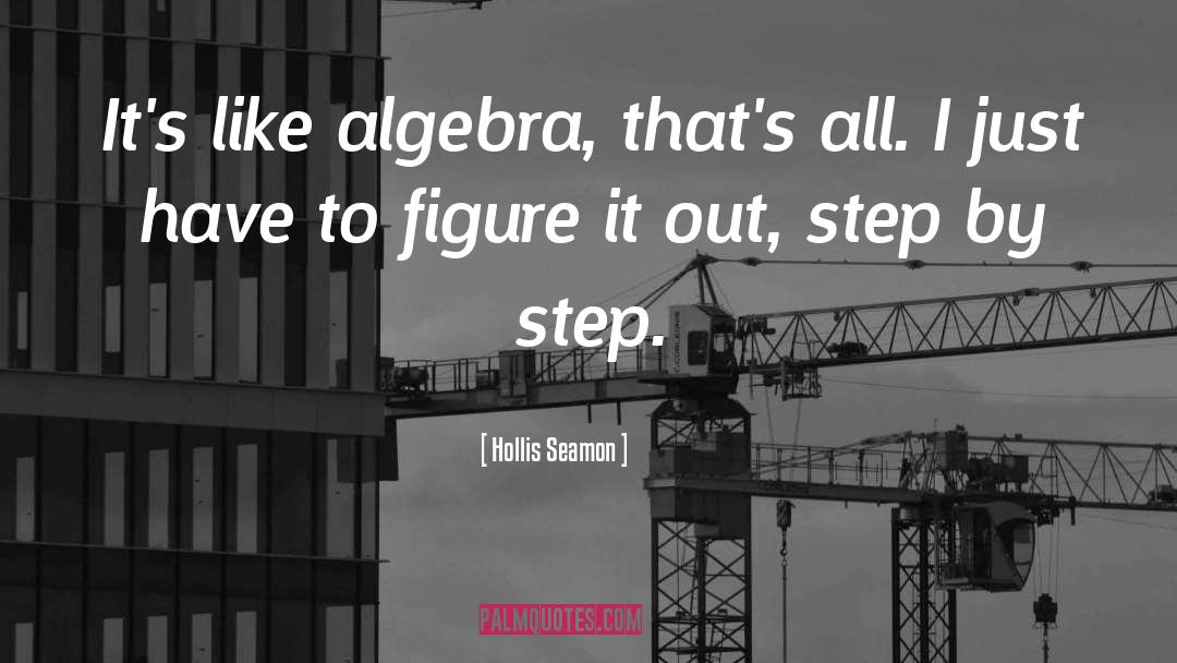 Ode To Algebra quotes by Hollis Seamon