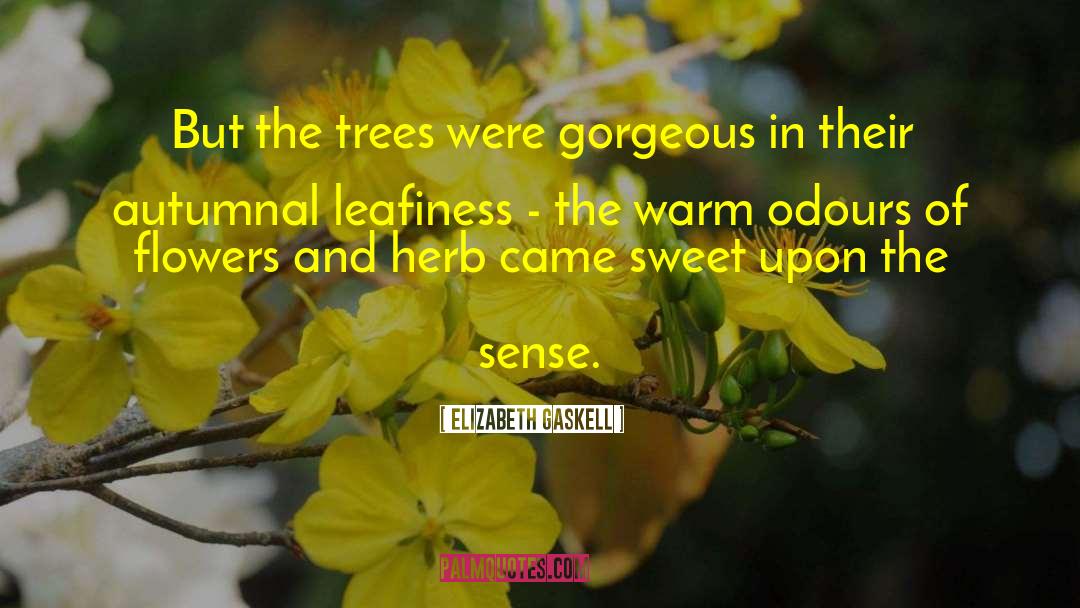 Odours quotes by Elizabeth Gaskell