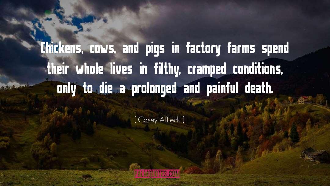 Oesterreicher Farms quotes by Casey Affleck