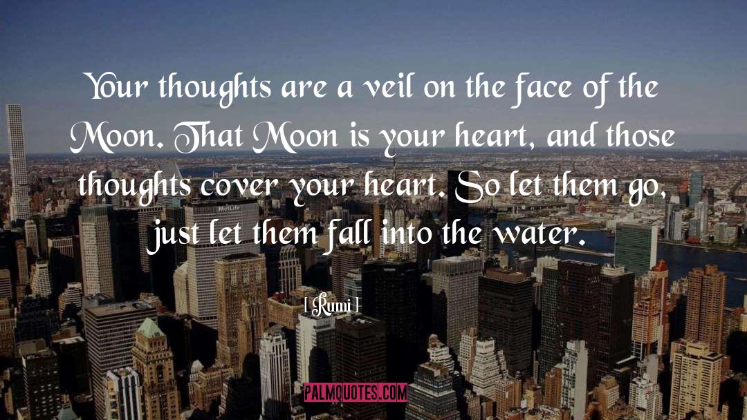 Of The Moon quotes by Rumi