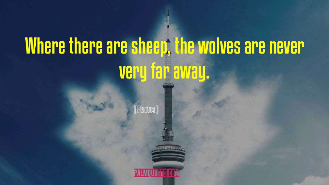 Of Wolves quotes by Plautus