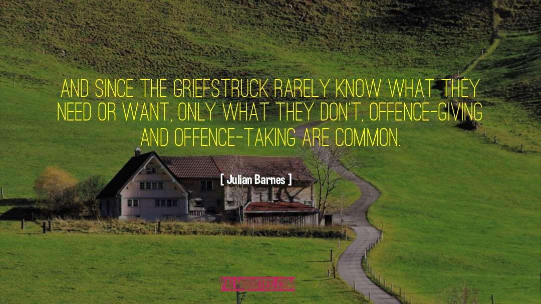 Offence quotes by Julian Barnes