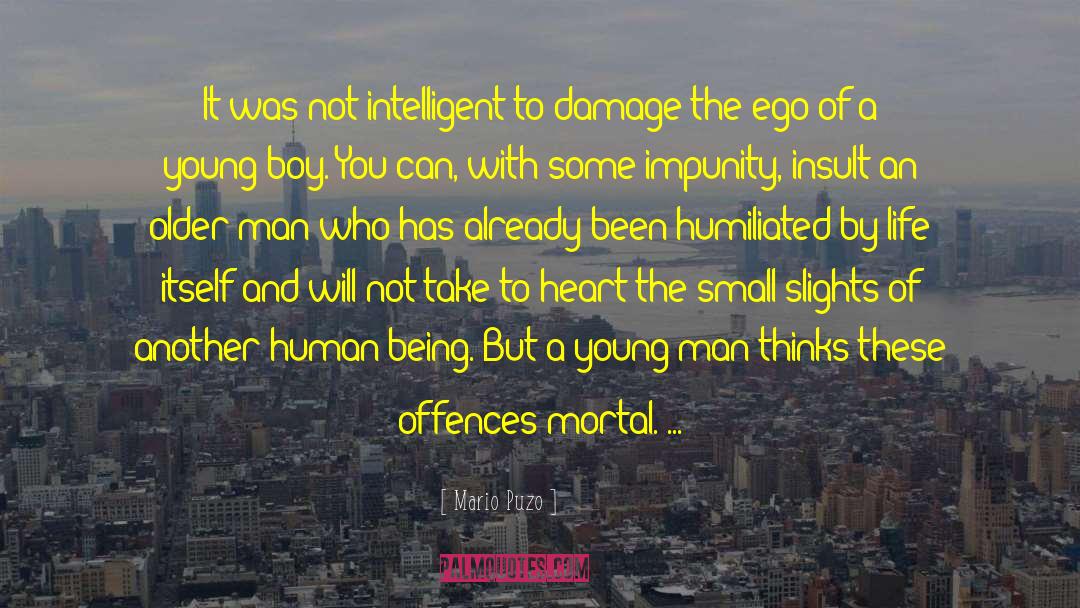 Offences quotes by Mario Puzo