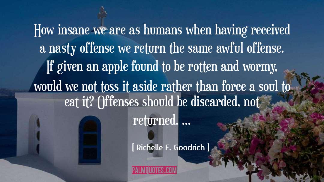 Offenses quotes by Richelle E. Goodrich