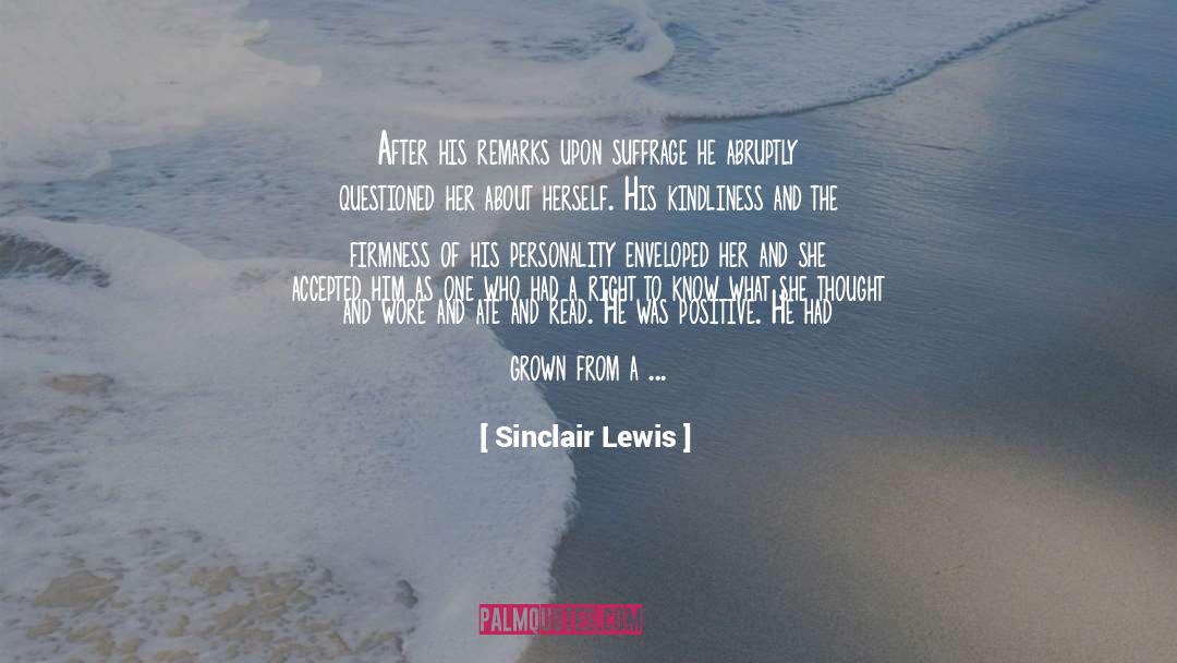 Offrire Irregular quotes by Sinclair Lewis