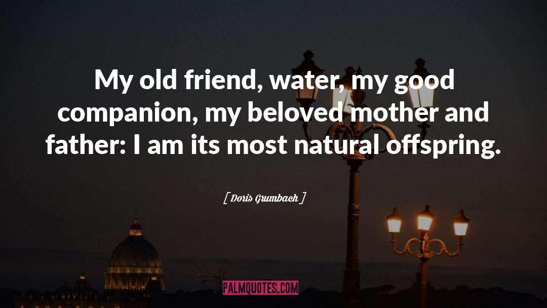 Offspring quotes by Doris Grumbach