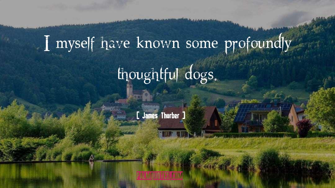 Oggie Dog quotes by James Thurber