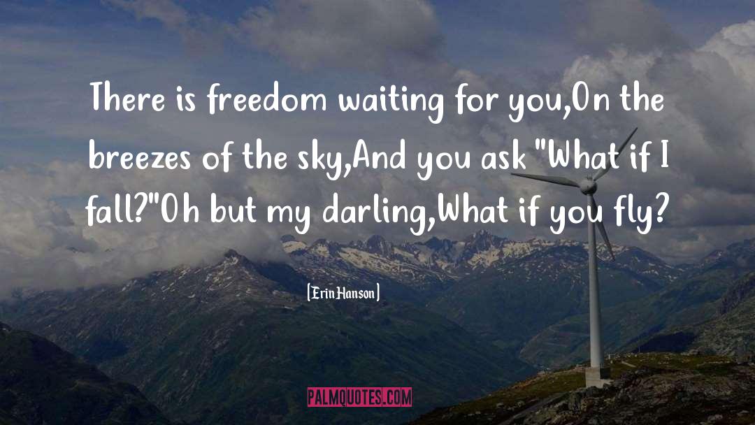 Oh Darling What If You Fly quotes by Erin Hanson